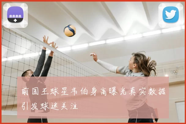 前国王球星韦伯身高曝光真实数据引发球迷关注