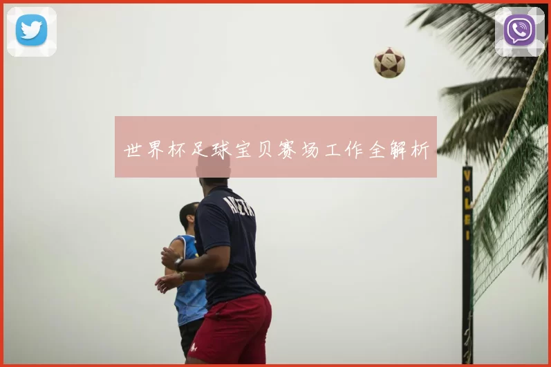 世界杯足球宝贝赛场工作全解析