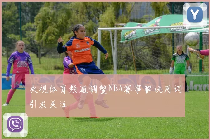 央视体育频道调整NBA赛事解说用词引发关注