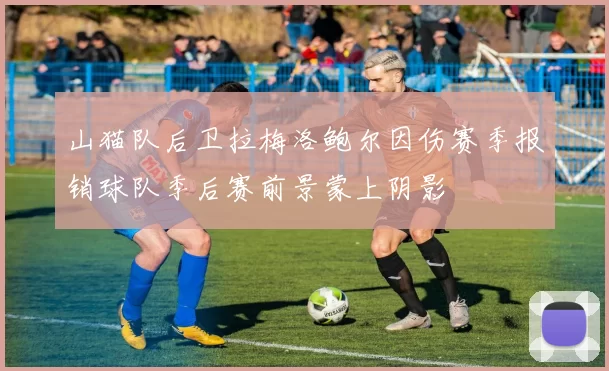 山猫队后卫拉梅洛鲍尔因伤赛季报销球队季后赛前景蒙上阴影