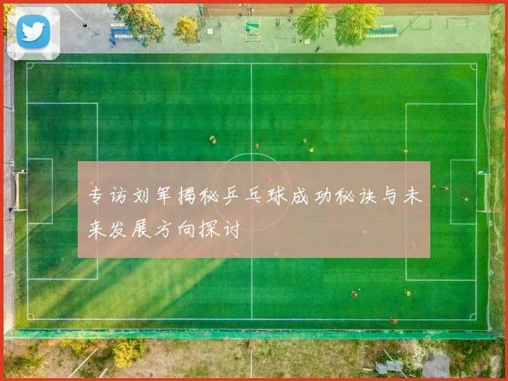 专访刘军揭秘乒乓球成功秘诀与未来发展方向探讨
