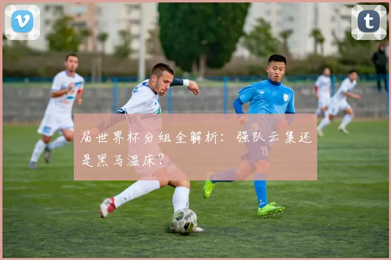 届世界杯分组全解析:强队云集还是黑马温床?