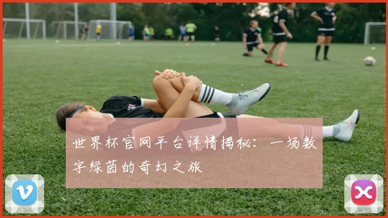 世界杯官网平台详情揭秘：一场数字绿茵的奇幻之旅