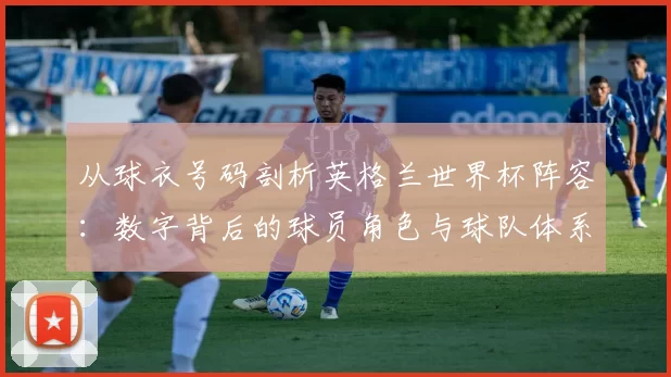 从球衣号码剖析英格兰世界杯阵容:数字背后的球员角色与球队体系