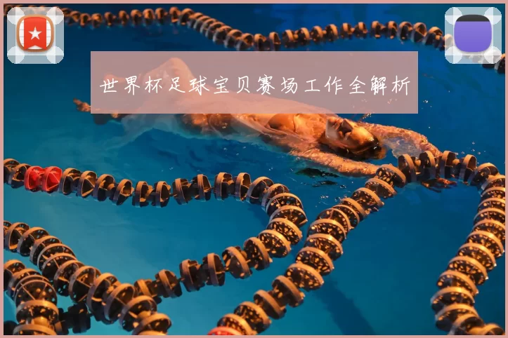 世界杯足球宝贝赛场工作全解析