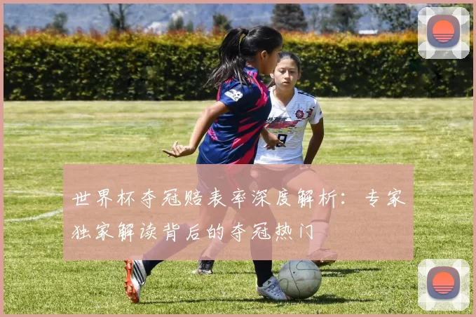 世界杯夺冠赔表率深度解析：专家独家解读背后的夺冠热门
