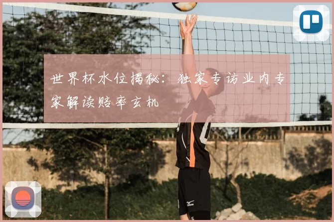 世界杯水位揭秘:独家专访业内专家解读赔率玄机