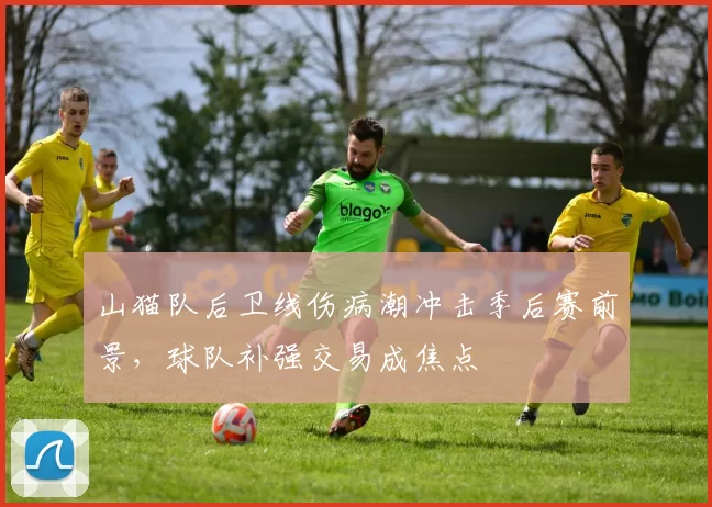 山猫队后卫线伤病潮冲击季后赛前景,球队补强交易成焦点