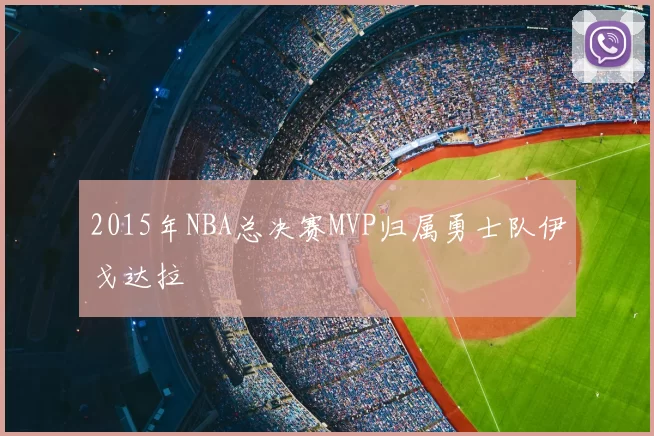 2015年NBA总决赛MVP归属勇士队伊戈达拉
