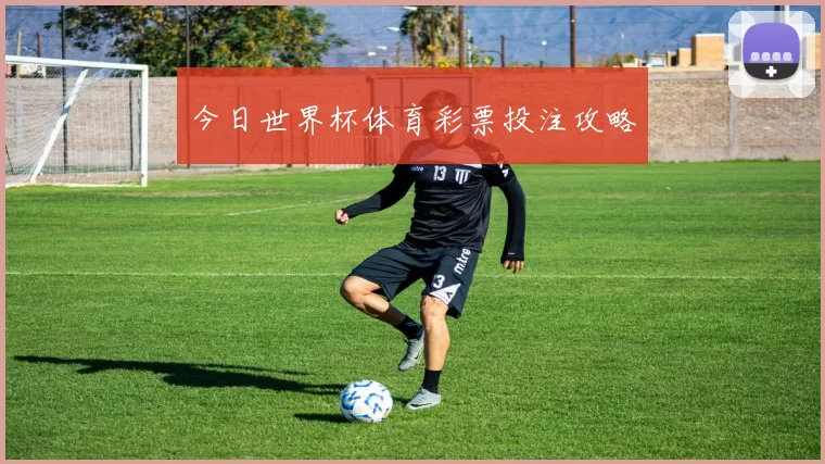 今日世界杯体育彩票投注攻略