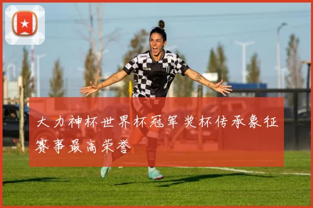 大力神杯世界杯冠军奖杯传承象征赛事最高荣誉