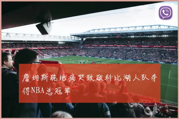 詹姆斯跪地痛哭致敬科比湖人队夺得NBA总冠军