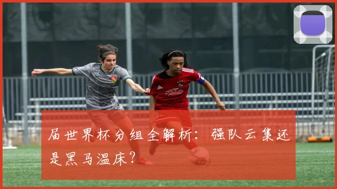 届世界杯分组全解析:强队云集还是黑马温床?