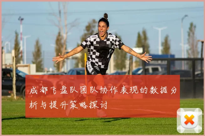 成都飞盘队团队协作表现的数据分析与提升策略探讨
