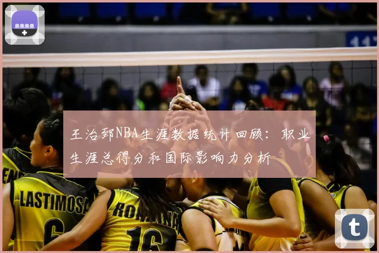 王治郅NBA生涯数据统计回顾：职业生涯总得分和国际影响力分析
