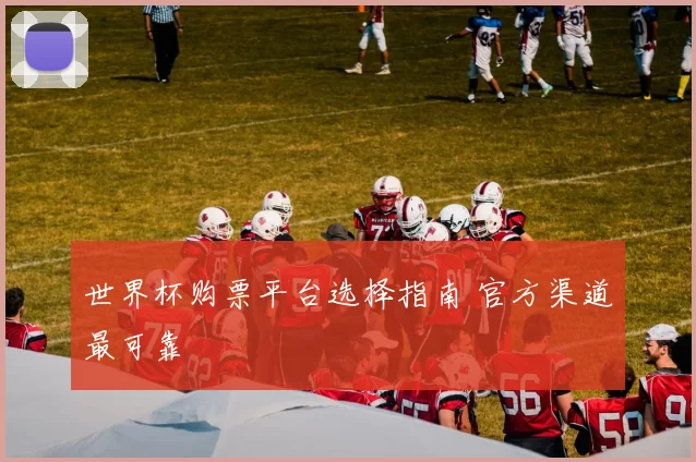 世界杯购票平台选择指南 官方渠道最可靠