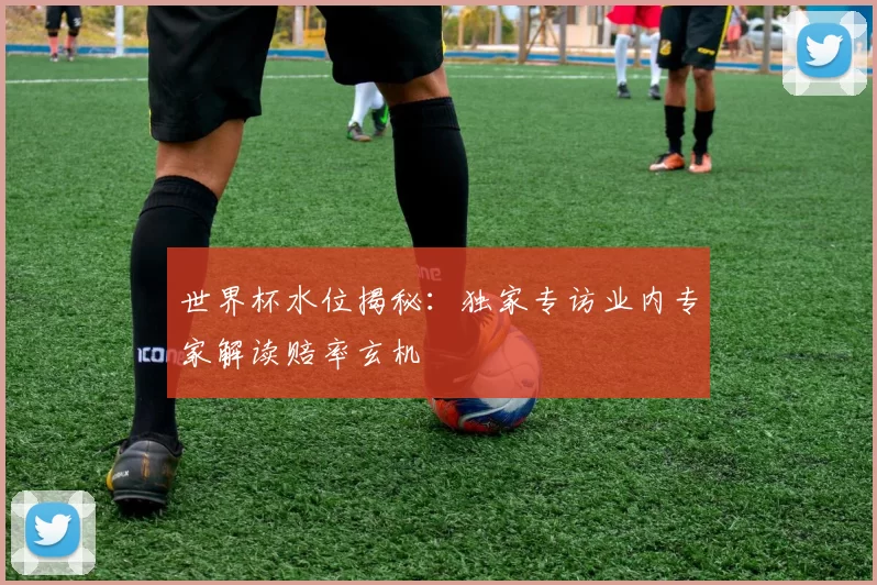 世界杯水位揭秘:独家专访业内专家解读赔率玄机