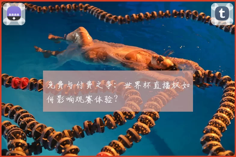 免费与付费之争:世界杯直播权如何影响观赛体验?
